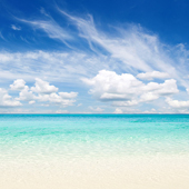 Guest Reviews: We had a great time at shore of panama, the condo was great