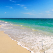 Guest Reviews: We loved this condo!  The views were amazing!